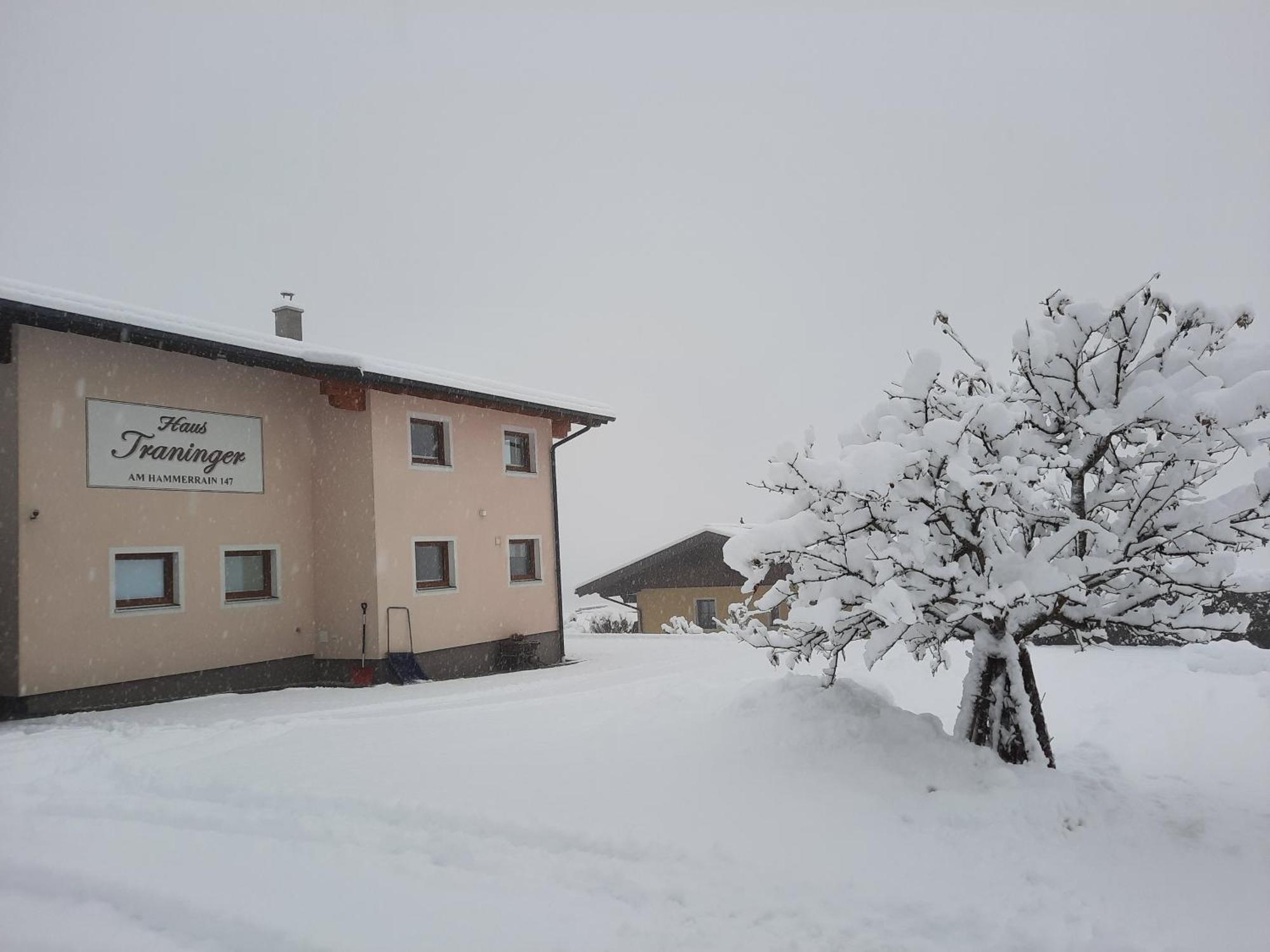 Haus Traninger Apartment Flachau Exterior photo